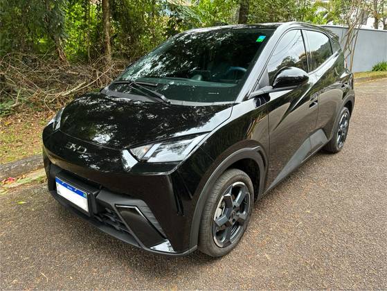 BYD DOLPHIN MINI 38 KW ELÉTRICO 5L